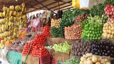 صورة أسعار الخضر والفاكهة في سوق العبور اليوم
