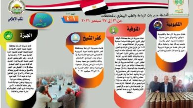 صورة اصدار الزراعة في كل مصر بالانفوجراف والفيديو، يوضح الجهود والانشطة التي تقوم بها مديريات الزراعة