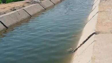صورة إزالة حوالى ٨٠٠٠ حالة تعدى خلال الحملات الموسعة لإزالة التعديات علي نهر النيل والمجارى المائية