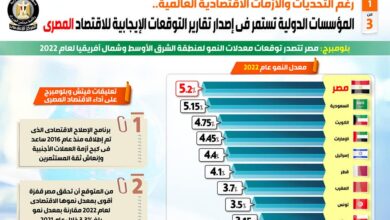 صورة المؤسسات الدولية تستمر في إصدار تقارير التوقعات الإيجابية للاقتصاد المصري