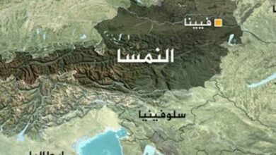 صورة احتجاجات سلمية حاشدة في فيينا بسبب ألزمية التطعيمات ضد كيوفيد١٩