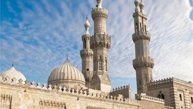 صورة من تراب الطريق 1234 الإمام الطيب والقول الطيب 67 القرآن وحقوق الإنسان تقرير وضمان