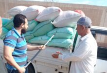 صورة البنك الزراعي المصري :  يبدأ استلام محصول القمح من المزارعين والموردين في 190 موقع على مستوى الجمهورية